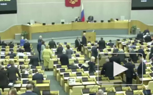 Госдума объяснила смысл антитеррористических поправок Яровой