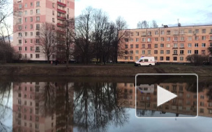 Забавное видео: в Кировском районе мужчина переплыл реку и на острове ждёт помощи спасателей