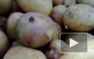 Телепортация!