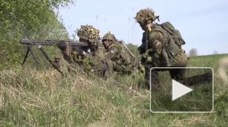 Американский журналист объяснил, почему Россия может опасаться НАТО