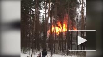 Видео: в Токсово загорелся частный дом