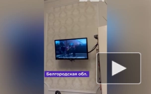 В Белгородской области в телеэфире показали выступление Зеленского