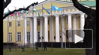 Около Таврического дворца молодой человек снял флаг Украины с флагштока