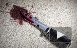 16-летний юнец зарезал заслуженного художника по прихоти своей 19-летней подруги