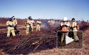 МЧС Петербурга тушило нефтебазу "Ручьи". Понарошку