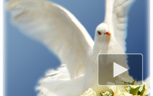 В Америке два супруга умерли в один день, они держали друг друга за руки