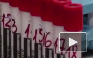 Испытания вакцины от коронавируса на животных в России закончатся к концу апреля