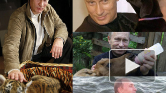 Путин и журавли: к любви электората – через любовь к братьям меньшим