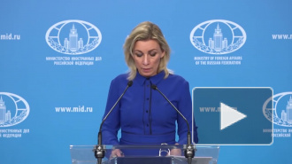 МИД России прокомментировал заявление Японии о принадлежности Курил