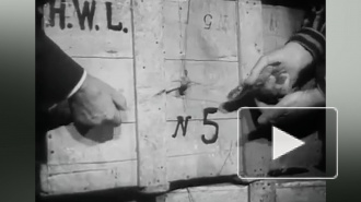 В Европарламенте обвинили Россию в "искажении" истории Второй мировой