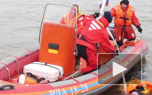 Возле яхт-клуба на Крестовском нашли утопленницу в халате и пальто