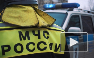 В России резко выросло число ДТП с такси