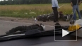 Два байкера столкнулись в смертельном ДТП в Ленобласти