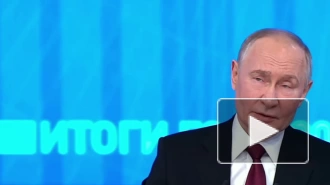 Путин назвал экологической катастрофой разлив мазута на черноморском побережье: мнение экспертов