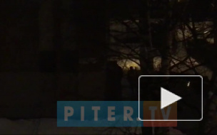 На улице Симонова из-за прорыва трубы образовался бассейн с кипятком 