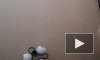Яна kids TV