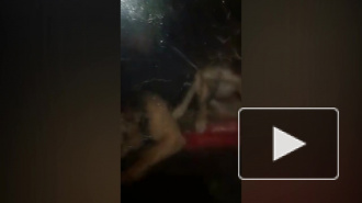 На Заневском жители ночью нашли "Жигули" с тремя запертыми собаками