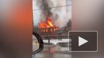На въезде в Мурино произошел крупный пожар