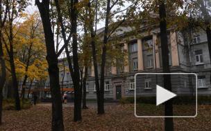 Петербуржцы снова защищают от сноса здание ВНИИБ