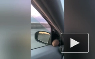 В Петербурге сотрудник дорожной службы пострадал в ДТП на КАД