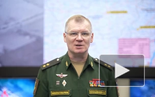 Минобороны РФ: российские войска уничтожили украинский склад с боеприпасами в ЛНР