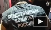 Сотрудники СК Петербурга закрыли все бары на Думской