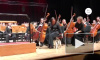 Видео из Стамбула: Бездомная кошка вышла на сцену во время выступления оркестра
