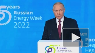 Путин заявил, что подорожание энергоресурсов в ЕС раскачивает инфляцию