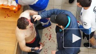 Видео: «месилово» краснодарцев с дагестанцами во время боев без правил