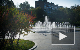 В Москве возродили сад сирени, в котором высажено 900 кустов