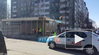 Видео: на Светлановском демонтируют ларек с кебабом