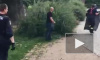 Видео из Чехии: Полиция 8 часов бегала за сбежавшими свиньями