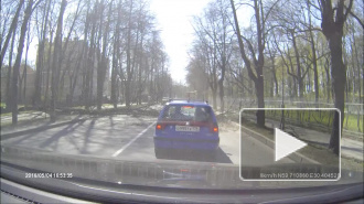 Появилось видео падения дерева на пассажирский автобус в Пушкине