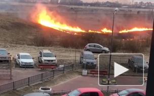 Видео: очевидцы сообщили о серьезном пожаре в районе Кудрово