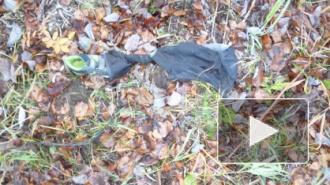 На Камчатке обнаружены одежда и останки 5-летнего ребенка, который пропал летом