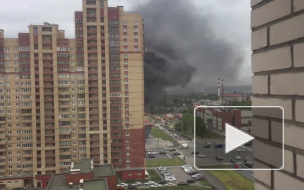 Жители Купчино сообщили о пожаре на свалке