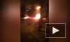 На проспекте Большевиков сгорел автомобиль