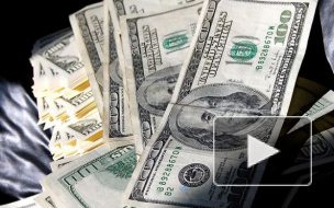 Работа для студентов в Петербурге: как заработать без опыта