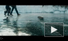 Опубликован трейлер фильма "Лед 2" с Александром Петровым