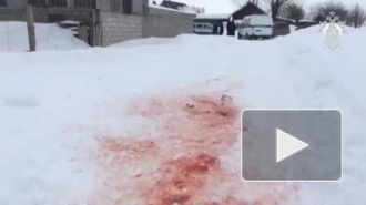 Видео: в Чувашии собаки загрызли пенсионерку 
