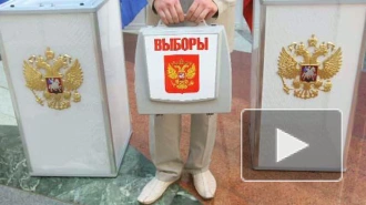 В Петербурге к полудню проголосовали более 10% избирателей