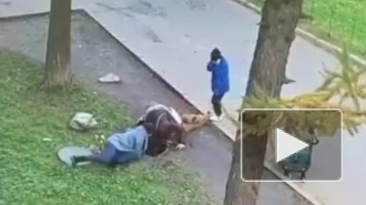 Прокуратура Петербурга заинтересовалась падением ребенка в люк