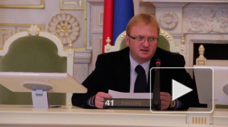 Милонов предложил упростить въезд в Россию беженцам от толерантности