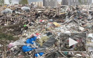 Экоактивисты нашли три незаконные свалки в Невском районе Петербурга