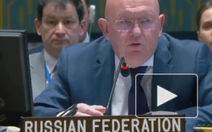 Небензя ответил на украинском языке спикеру на СБ ООН