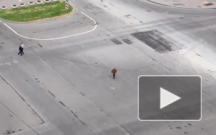 На перекрестке Туристской и Оптиков неадекватный пешеход разгонял автомобили