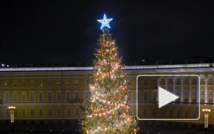 Губернатор и председатель ЗакСа поздравили петербуржцев с Новым годом и Рождеством