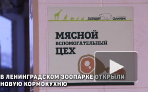 В лениградском зоопарке открылась современная кормокухня