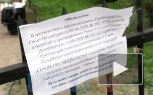 Неизвестный спилил замки в Пушкинском сквере