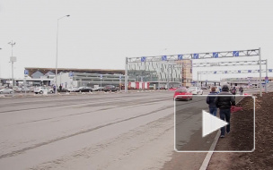 В "Пулково" пассажир рейса на Дюссельдорф украл сумку у пожилого петербуржца